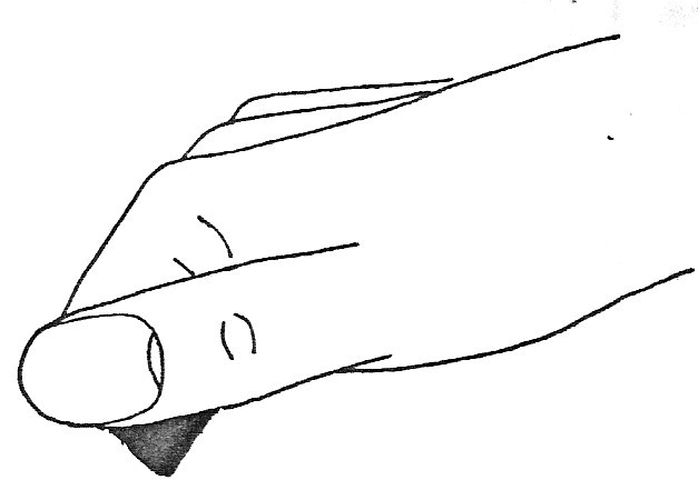palheta